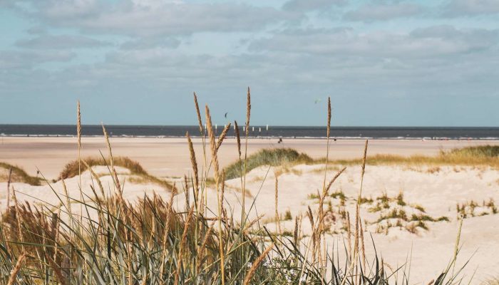 Strand
